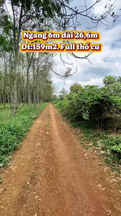 Đất nền Xuân Quế 159m² 1,3 tỷ - Sổ đỏ chính chủ