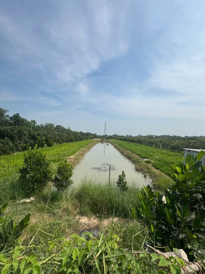 Đất nền Kênh 1 Mỹ Đức 10 công 3,5 tỷ - Đường to ô tô