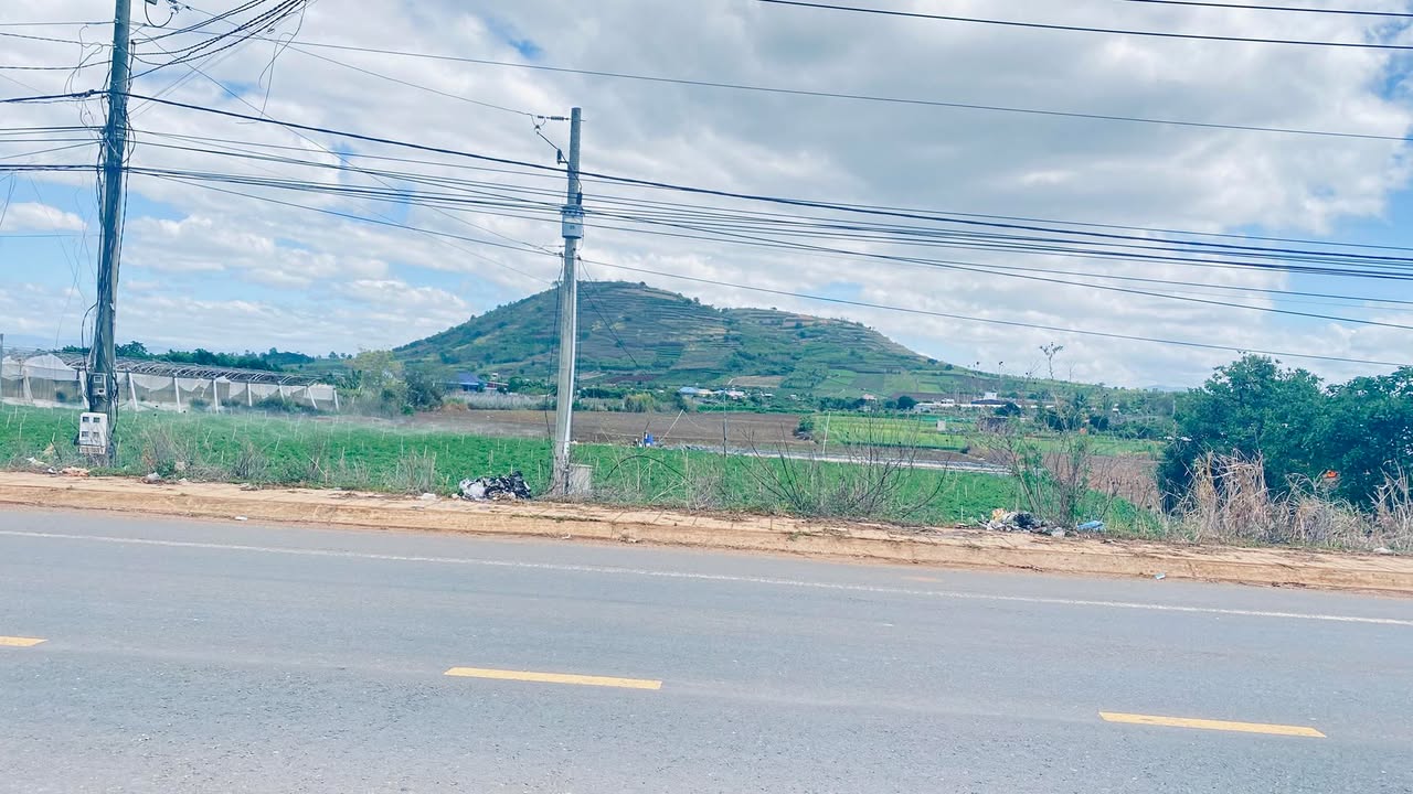 Farm DT724 Phú Hội 3ha 70 tỷ - Sổ đỏ sẵn 400m2 cạnh núi đôi