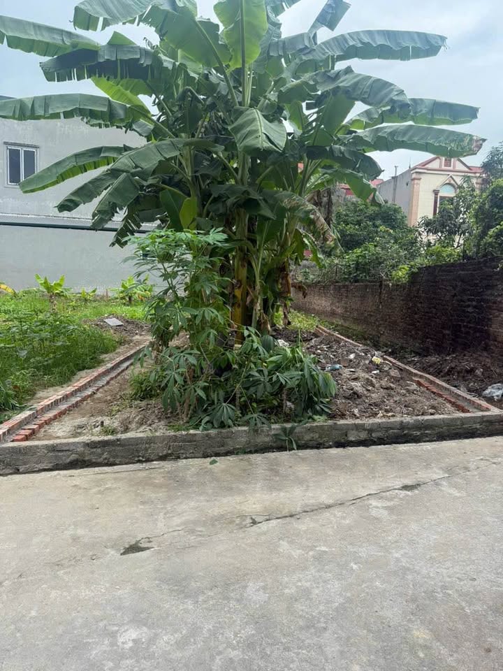 Đất Nền Đông Hương Thứa Lương Tài 90m² - Tiềm Năng Tăng Giá Vượt Trội!