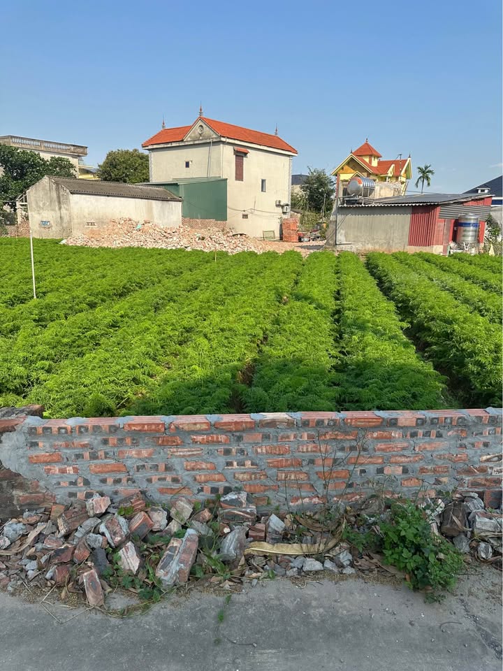 Đất nền Minh Tân Lương Tài 95m² 1,xxx tỷ - Đường to ô tô