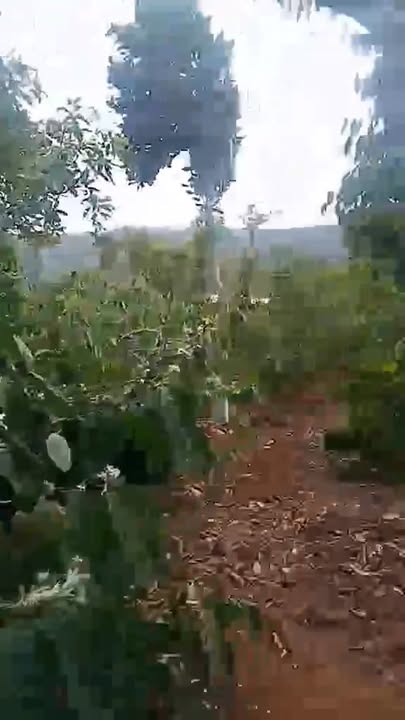 Đất nông nghiệp Cư Pơng 12.160m² 3,5 tỷ - Sổ đỏ chính chủ