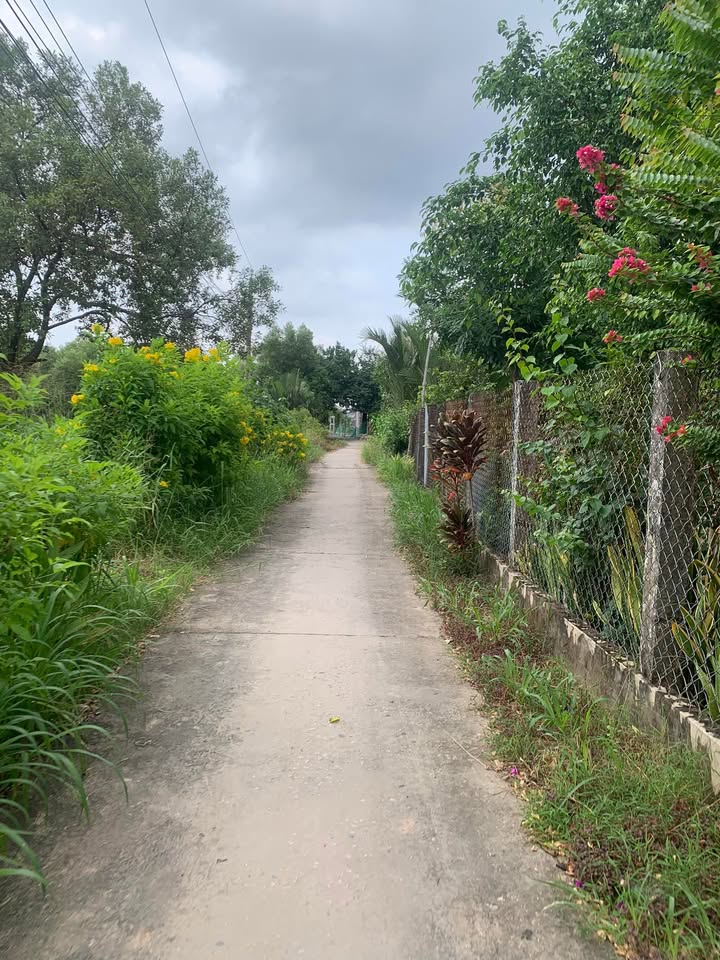 Đất nền Trường Long Hoà 7200m² 150 triệu/công - Đường ô tô