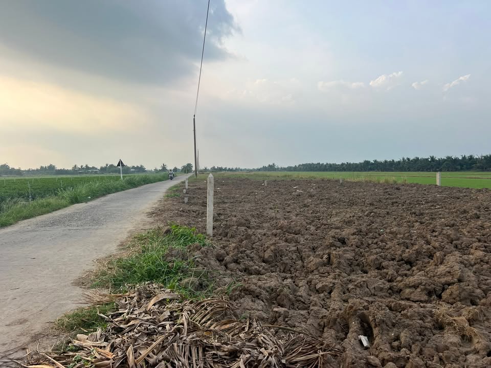 Đất Tân Điền Gò Công Đông 126m² 320 triệu - Đất thổ cư 100%