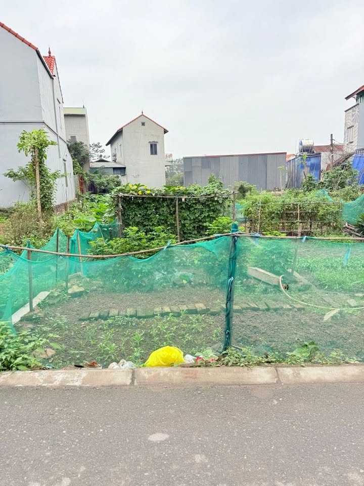 Đất nền Đa Tốn Gia Lâm 60m² 7 tỷ - Pháp lý rõ ràng