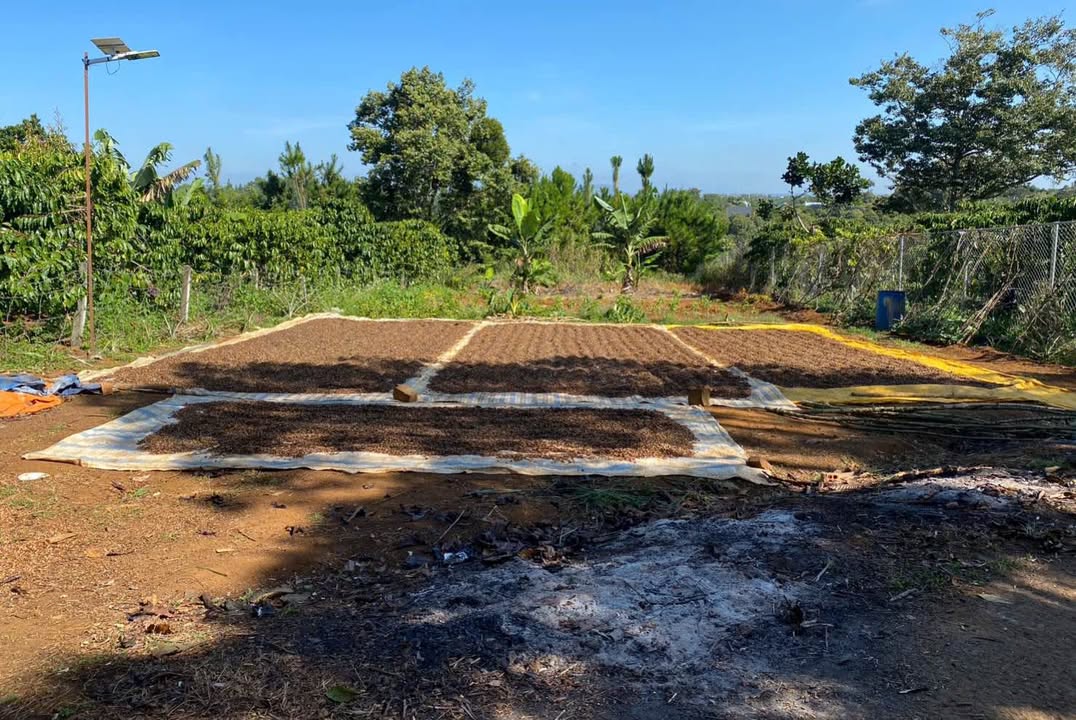 Đất nền Lộc Nga Bảo Lộc 713m² 1 tỷ - Sổ đỏ