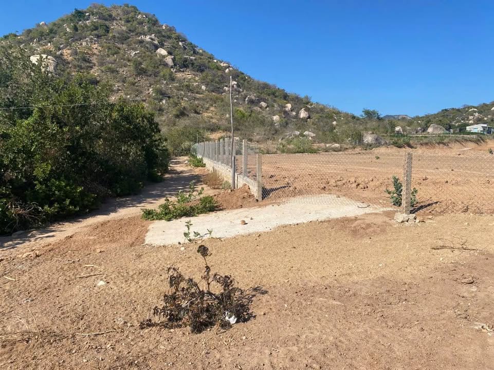 Đất Vĩnh Hải Nha Trang 15000m² 300 triệu - Sổ đỏ chính chủ