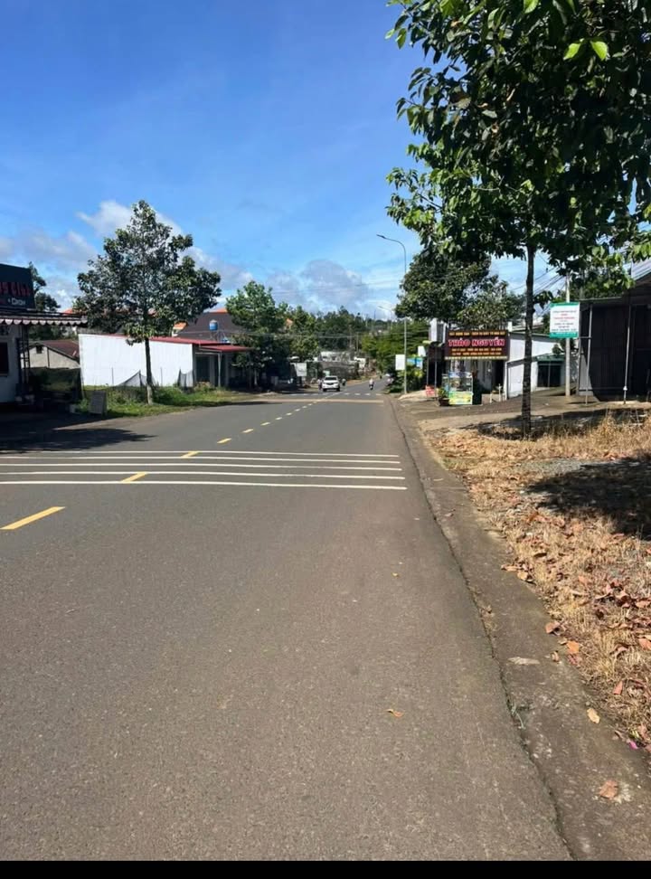 Đất nền Đà Lạt Đào Duy Từ 1.000m² 16 tỷ - Sổ đỏ chính chủ