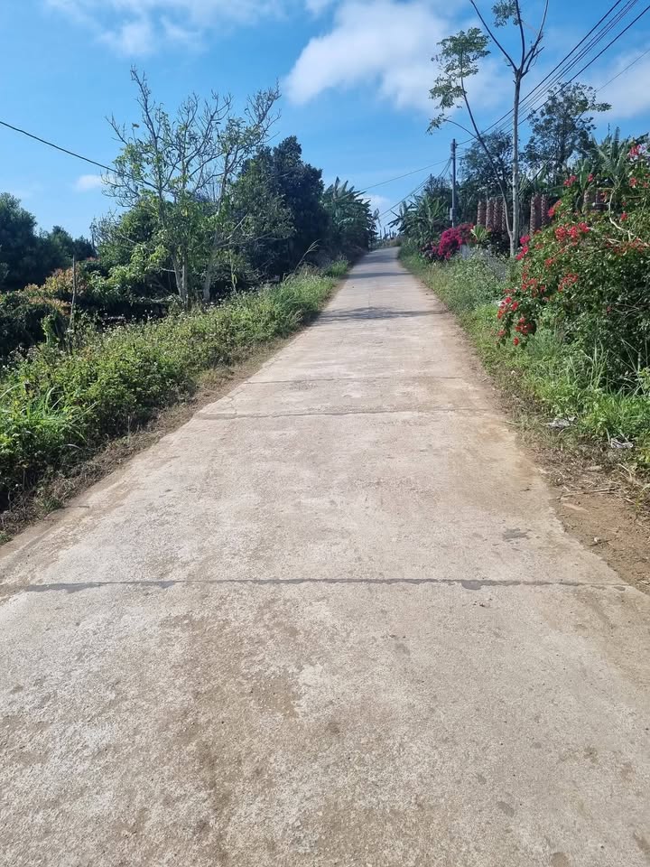 Đất vườn Hòa Tiến Krông Pắc 22.000m² - Đầu tư dài hạn