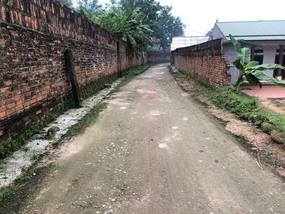 Đất nền Tam Dương Vĩnh Phúc 128m² 6xx triệu - Sổ đỏ chính chủ