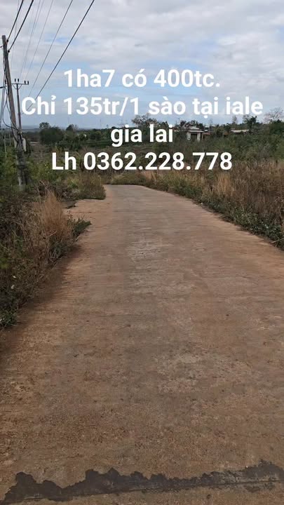 Đất vườn Ia Le Gia Lai 17.000m² giá 6,375 tỷ - Đầu tư dài hạn