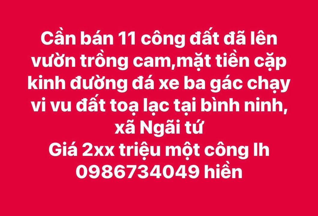 Đất Ngãi Tứ 11.000m² 2xx triệu/công - Hạ tầng hoàn thiện