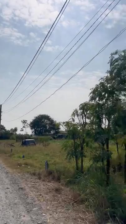 Đất nền Tân Điền Đồng Tháp 105m² 230 triệu - Sổ đỏ chính chủ