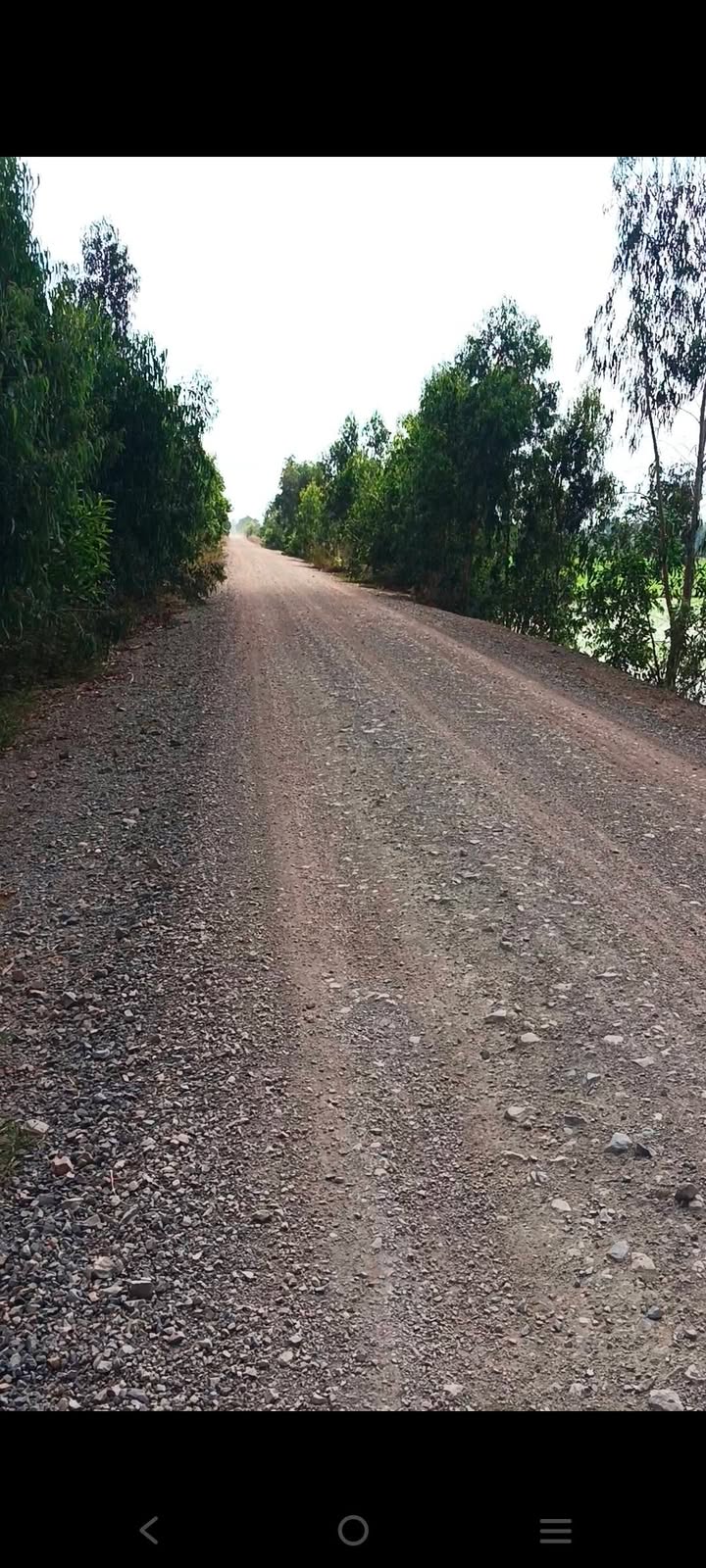 Đất nền TL 837B Vĩnh Bửu 1500m² 25tr/m - Đường to ô tô