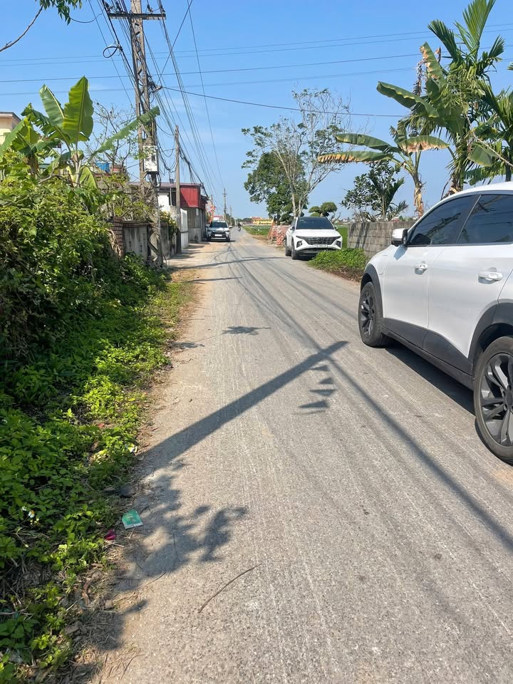 Đất nền Tân Học Thái Thụy 92m² 1 tỷ - Sổ đỏ chính chủ