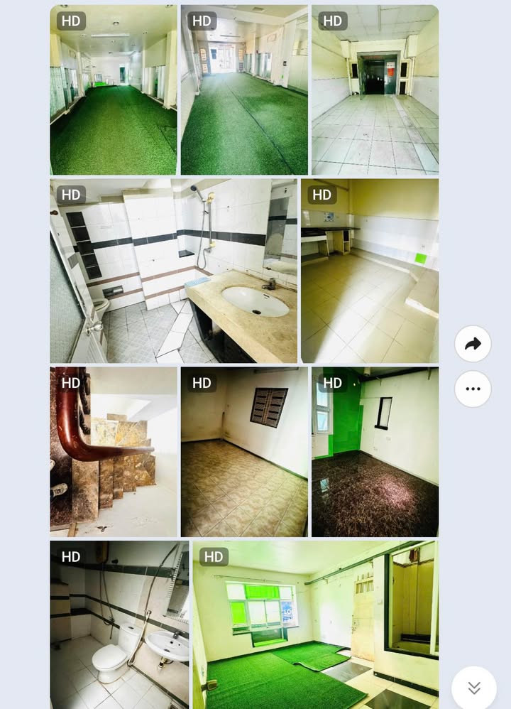 Nhà mặt tiền Bùi Tư Toàn 84m2 13 triệu - Mặt tiền kinh doanh