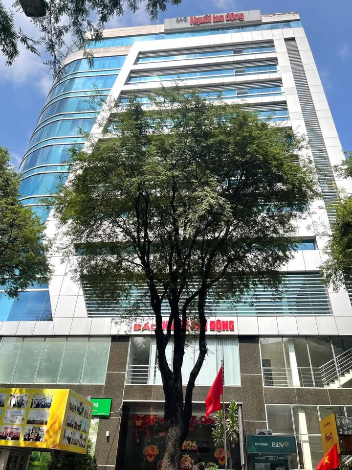 Nhà phố Bà Huyện Thanh Quan 223m² 200-299 tỷ - Mặt tiền kinh doanh