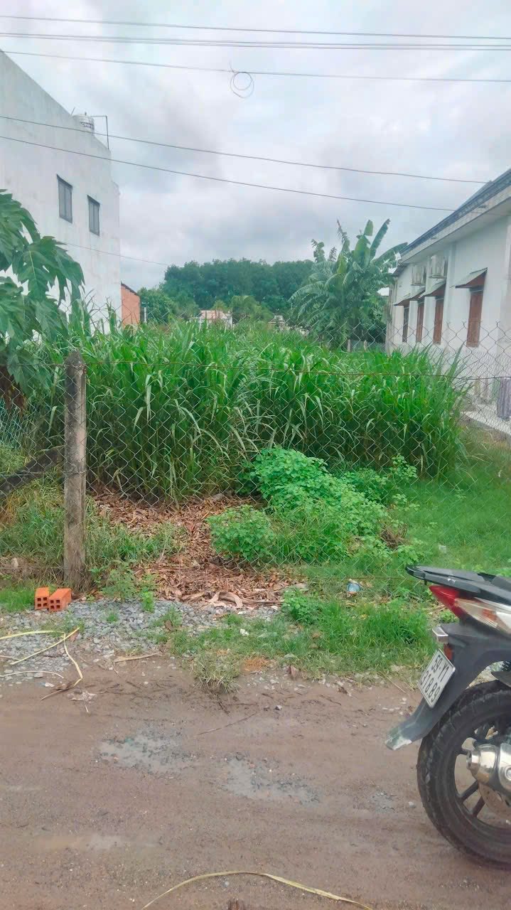 Đất nền Ấp 5 Tân Thạnh Đông 230m² 2.15 tỷ - Sổ đỏ