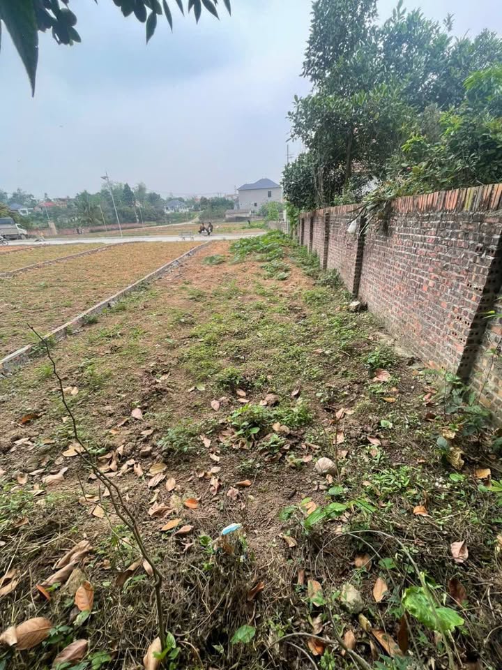 Đất nền Xuân Trạch 107m² 600 triệu - Tiềm năng tăng giá