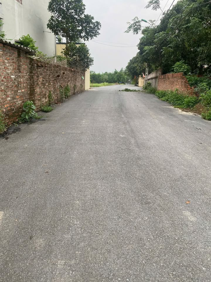 Đất nền Xuân Hòa Phúc Yên 110m² 1,65 tỷ - Sổ đỏ chính chủ