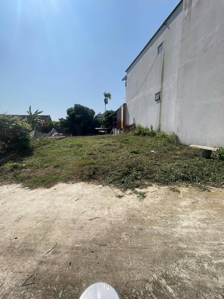 Đất nền Thái Đào Lạng Giang 190m² 810 triệu - Sổ đỏ chính chủ