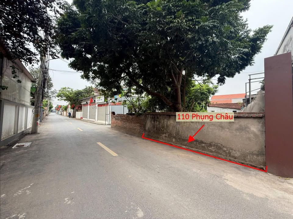 Đất thổ cư Phụng Châu 110m² 6.5-7 tỷ - Sổ đỏ chính chủ