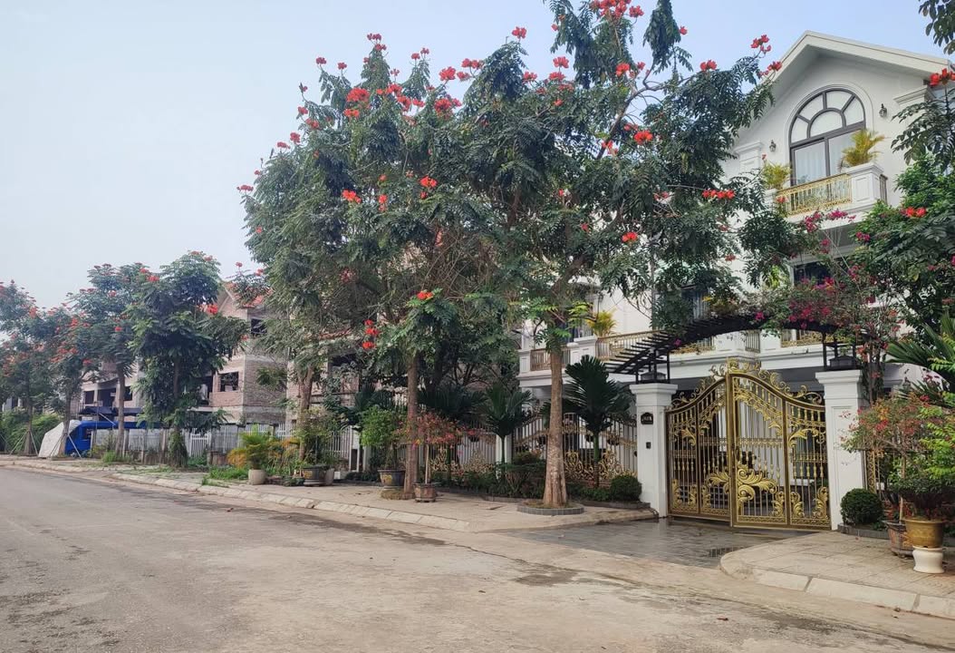 Townhouse Quang Minh 425m2 - Vị trí đắc địa