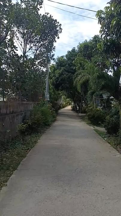 Đất nền Tân Thạnh 185m² 3.49 tỷ - Sổ đỏ chính chủ