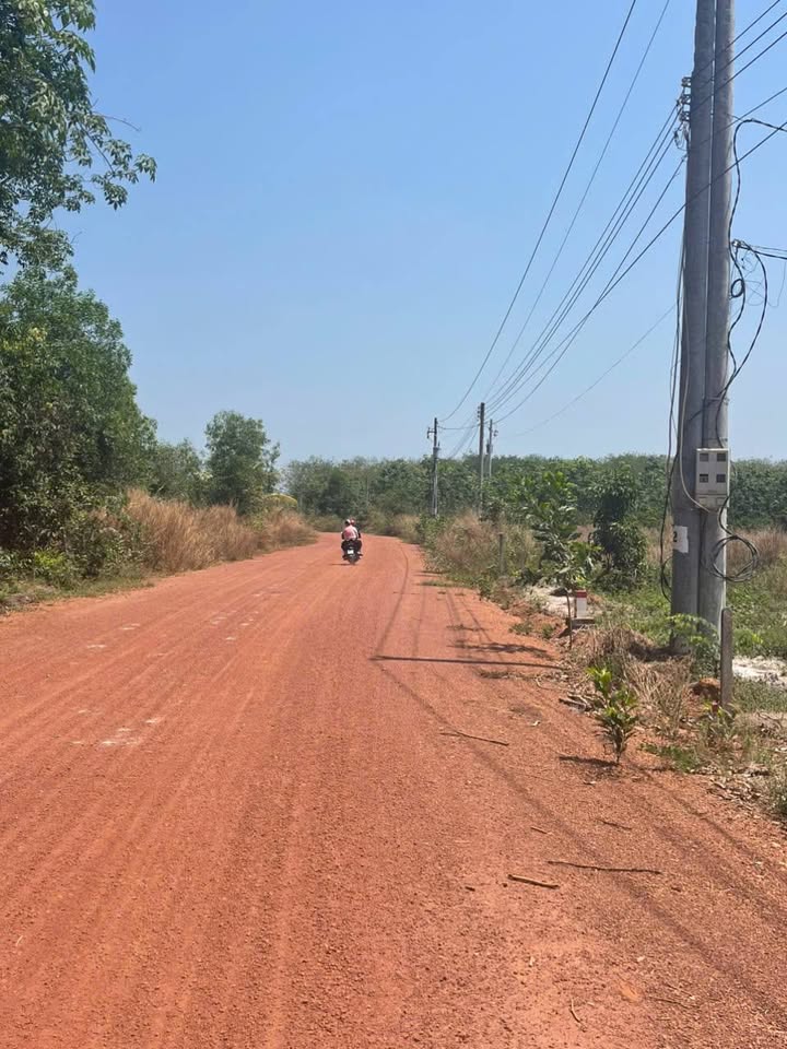 Đất Long Hòa Dầu Tiếng 221m² 2xx triệu - Xây dựng tự do