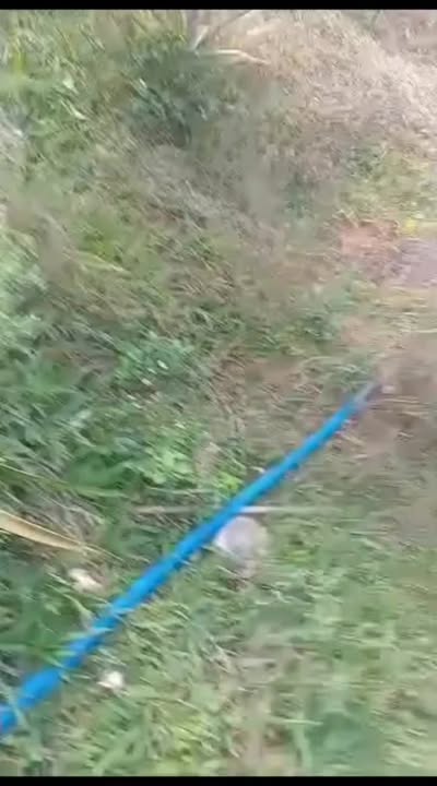 Đất nền Tuy Đức 3.240m² 800 triệu - Đầu tư dài hạn