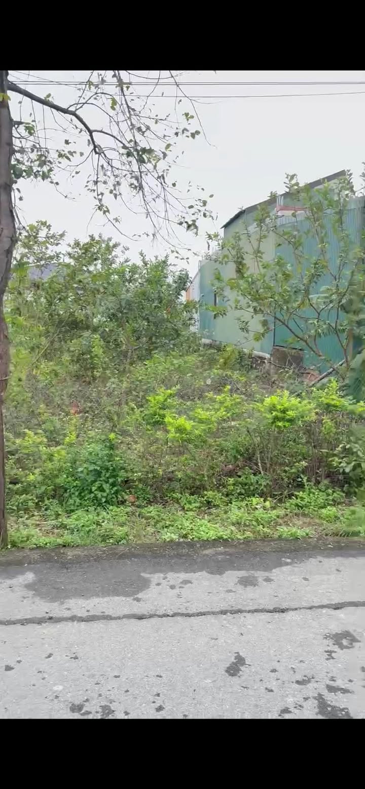 Đất nền Tân An Cẩm Bình 256m² - Tiềm năng tăng giá