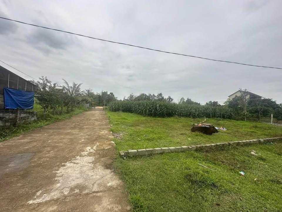 Đất nền Hương Trà Hà Tĩnh 176m² 4xx triệu Sổ đỏ chính chủ