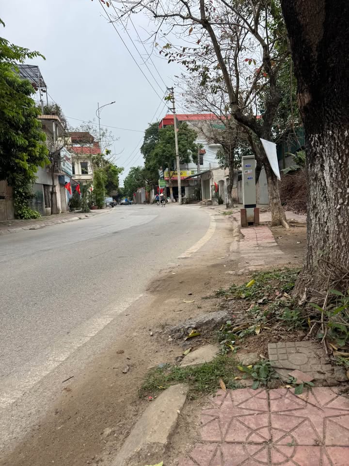 Đất nền Tô Hiến Thành Vĩnh Yên 131m² 3 tỷ - Sổ đỏ chính chủ