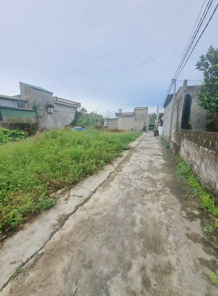 Đất nền An Thanh Tứ Kỳ 150m² 520 triệu - Sổ đỏ chính chủ