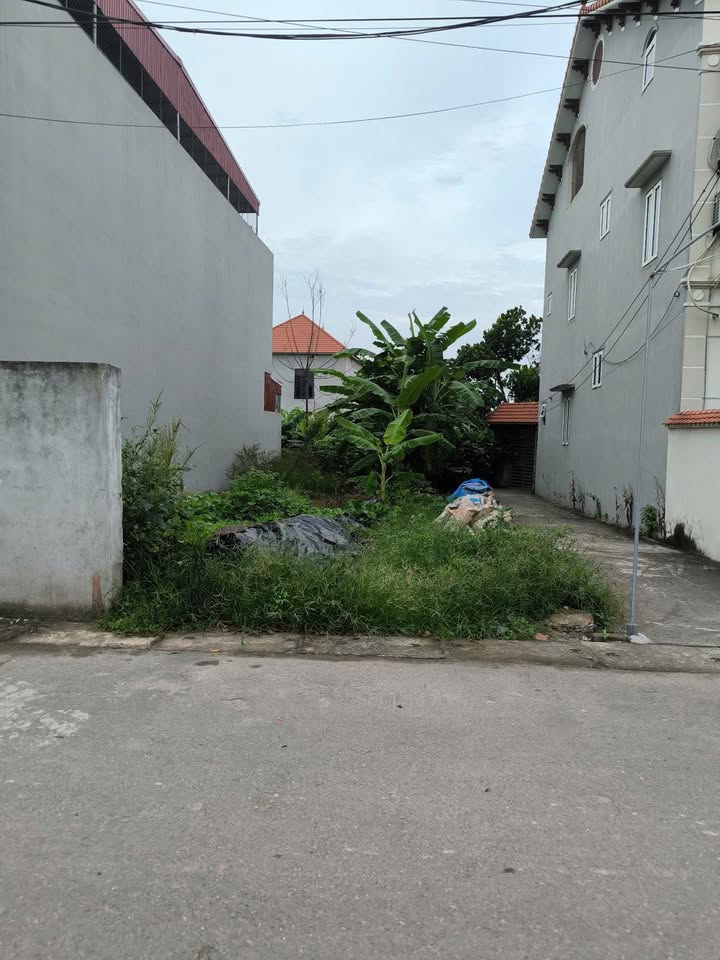 Đất nền Phố Xích Đằng Hưng Yên 98m² 2 tỷ - Sổ đỏ chính chủ