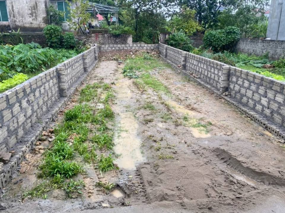 Đất nền Kim Đường 60m² 1 tỷ - Sổ đỏ chính chủ