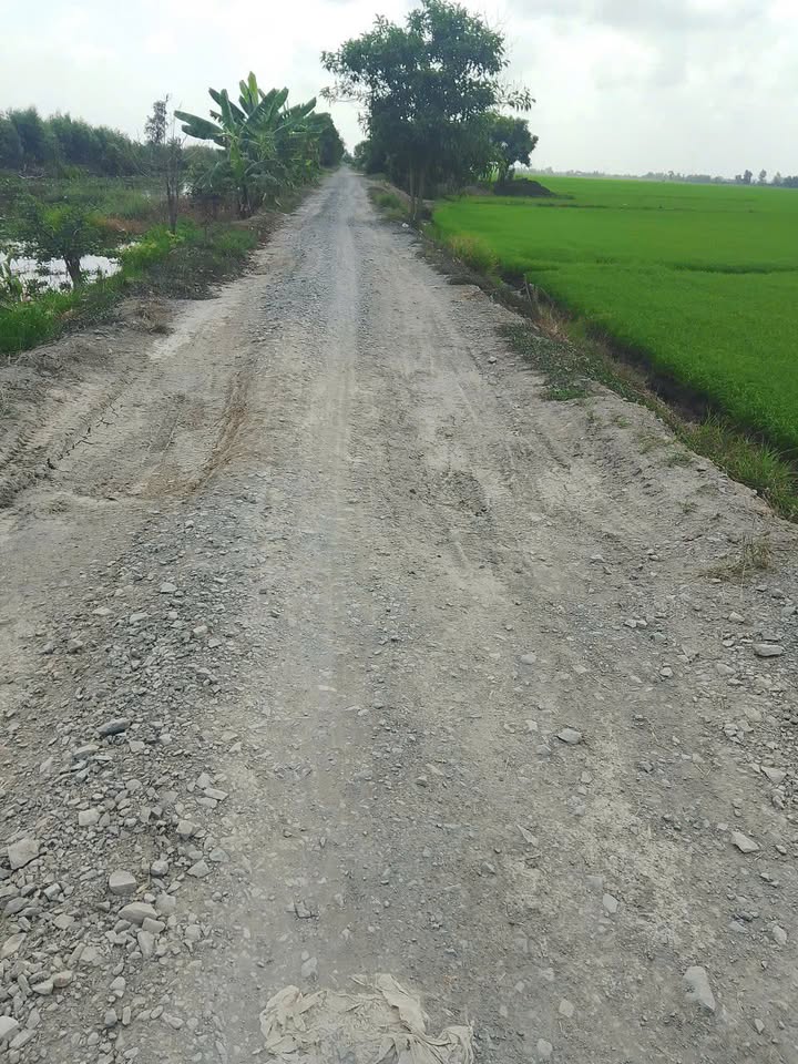 Đất nền Thạnh An Long An 4ha giá 6.4 tỷ - Sổ đỏ chính chủ