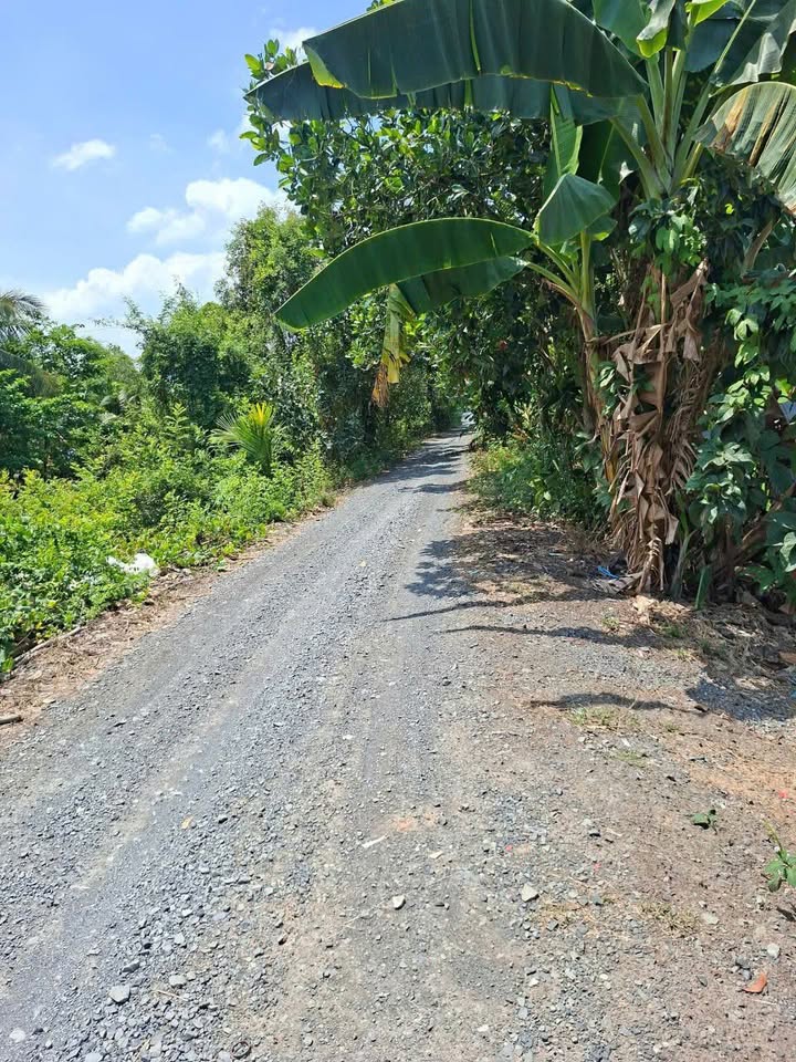 Đất nền Thạnh An 14.400m² 6.4 tỷ - Sổ đỏ chính chủ