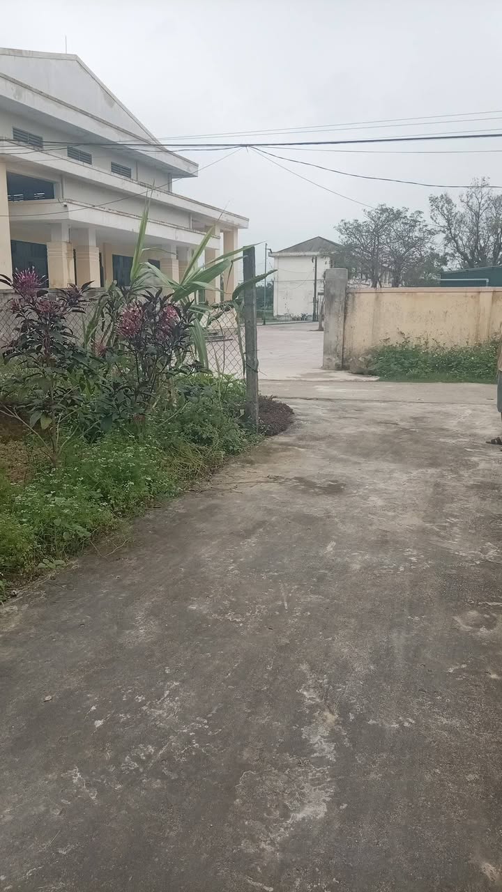 Đất thổ cư Cẩm Thành 280m² - Sổ đỏ chính chủ