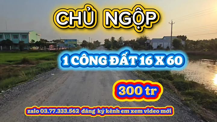 Đất nền Thạnh Hóa Long An 1000m² giá 300 triệu - Sổ đỏ chính chủ