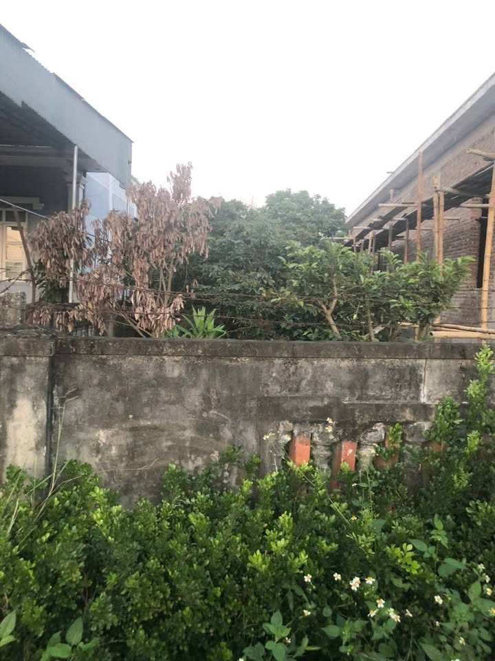 Đất Xuân Mỹ 150m² giá thỏa thuận - Sổ đỏ chính chủ