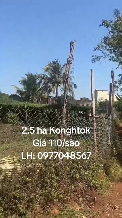 Đất vườn Kông HTok 2.5ha giá 7.639 tỷ - Giá đầu tư tốt