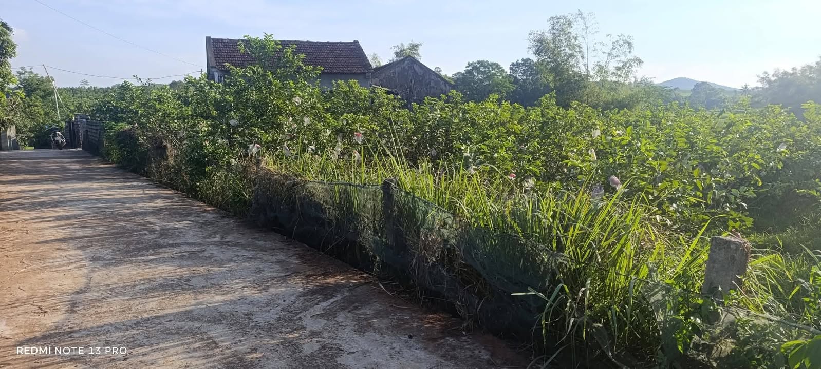 Đất nền Nghĩa Thọ Nghĩa Đàn 500m2 - Sổ đỏ thổ cư