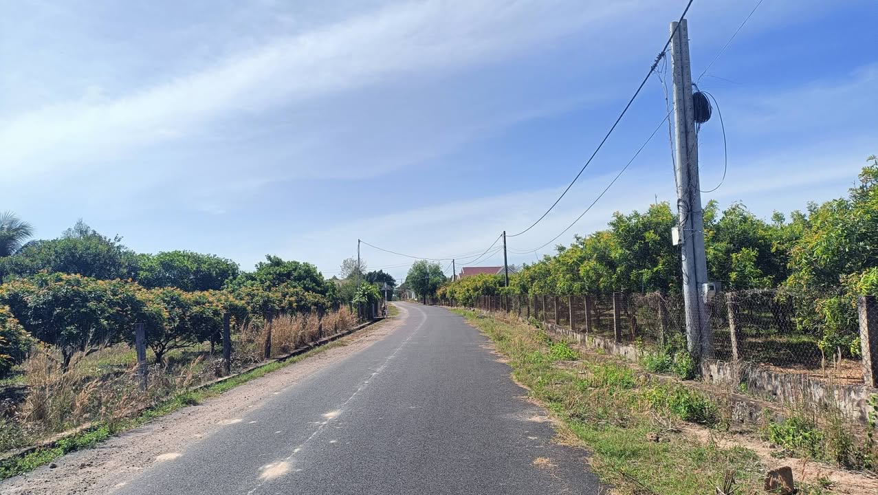 Đất vườn Bình Châu 5.826m² giá 10 tỷ - Xây dựng tự do