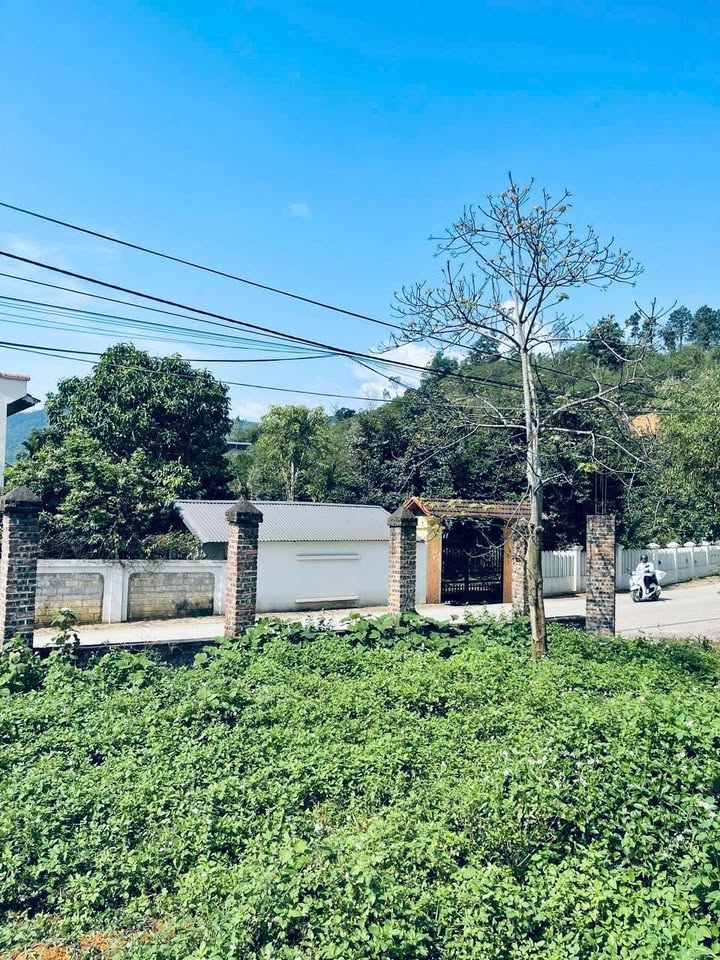 Đất nền Yên Bài Ba Vì 3.300m² - Sổ đỏ chính chủ