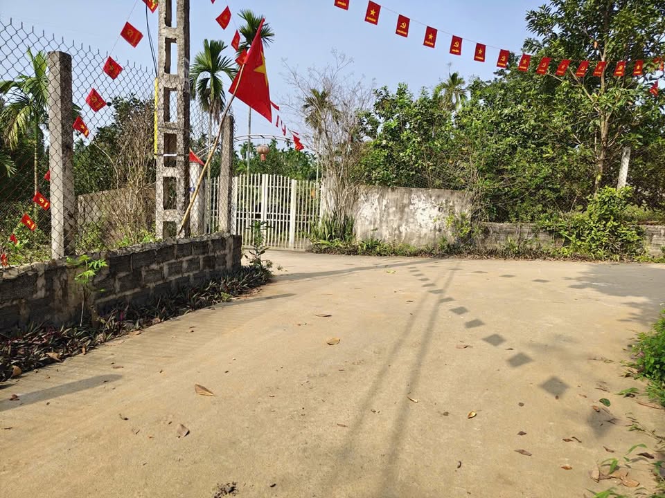 Đất nền Minh Quang Ba Vì 900m² 2 tỷ - Sổ đỏ chính chủ