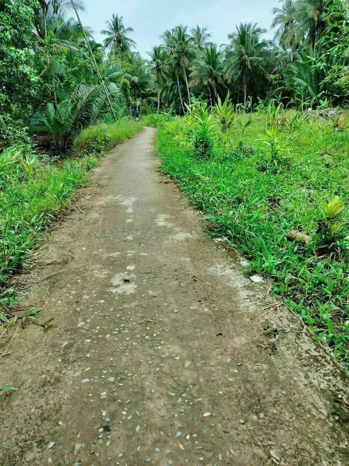 Đất nền Định Thủy Mỏ Cày Nam 179m² 280tr - Sổ đỏ chính chủ