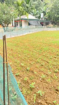 Đất nền Hữu Lợi Yên Thủy 600m² thỏa thuận - Sổ đỏ chính chủ