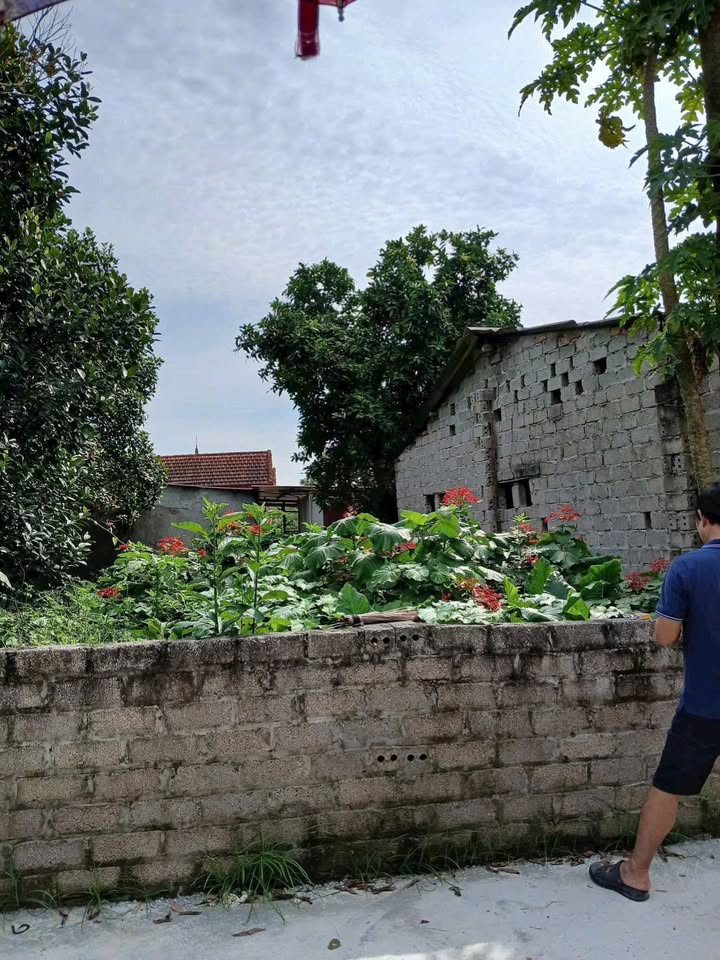 Đất nền Sơn Lộc Sơn Tây 108m² - Sổ đỏ chính chủ