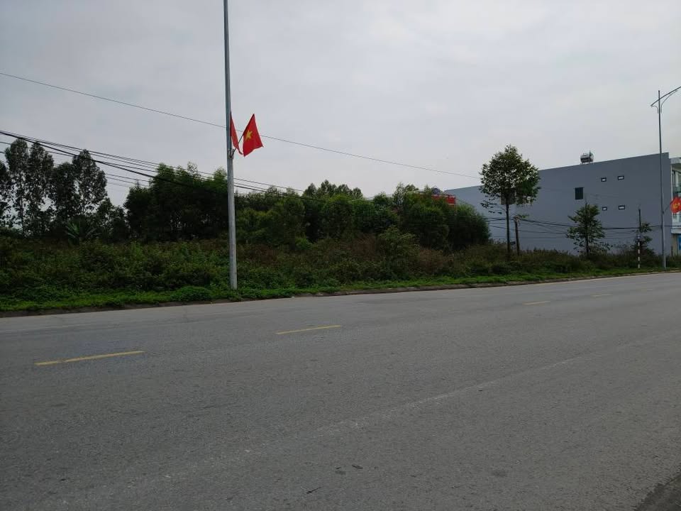 Đất nền QL17 Việt Lập 100m² 3.9 tỷ - Sổ đỏ chính chủ